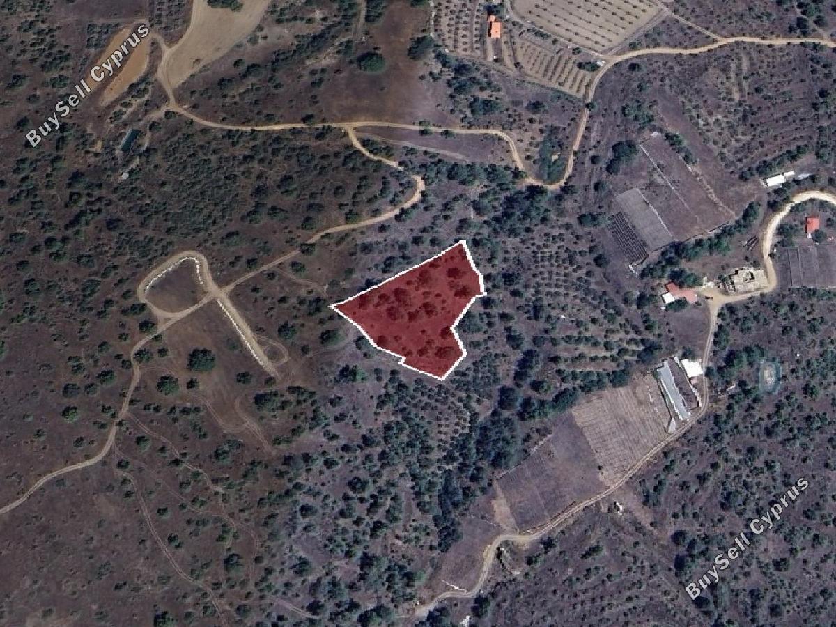 land for sale nikitari nicosia 8716143 image 16294496