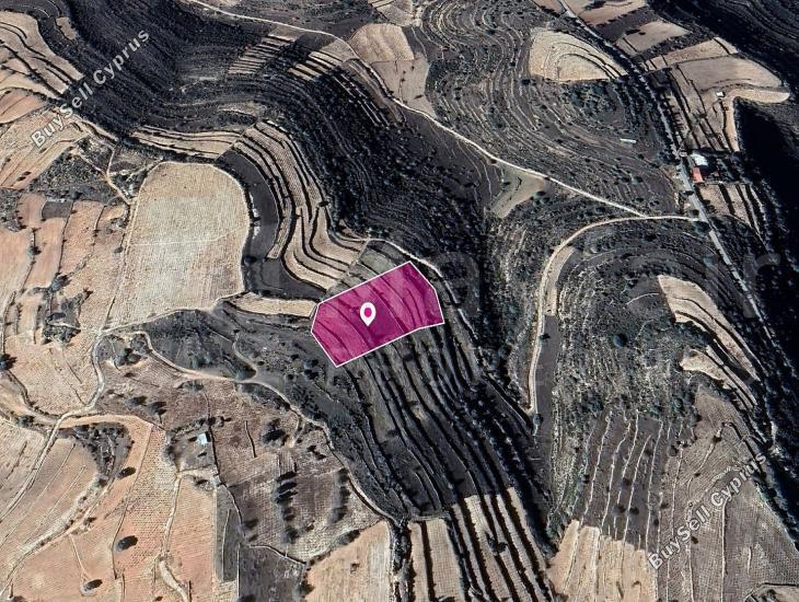 land for sale pachna limassol 7872143 image 11384277