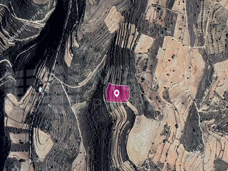 land for sale pachna limassol 7872143 image 11384279