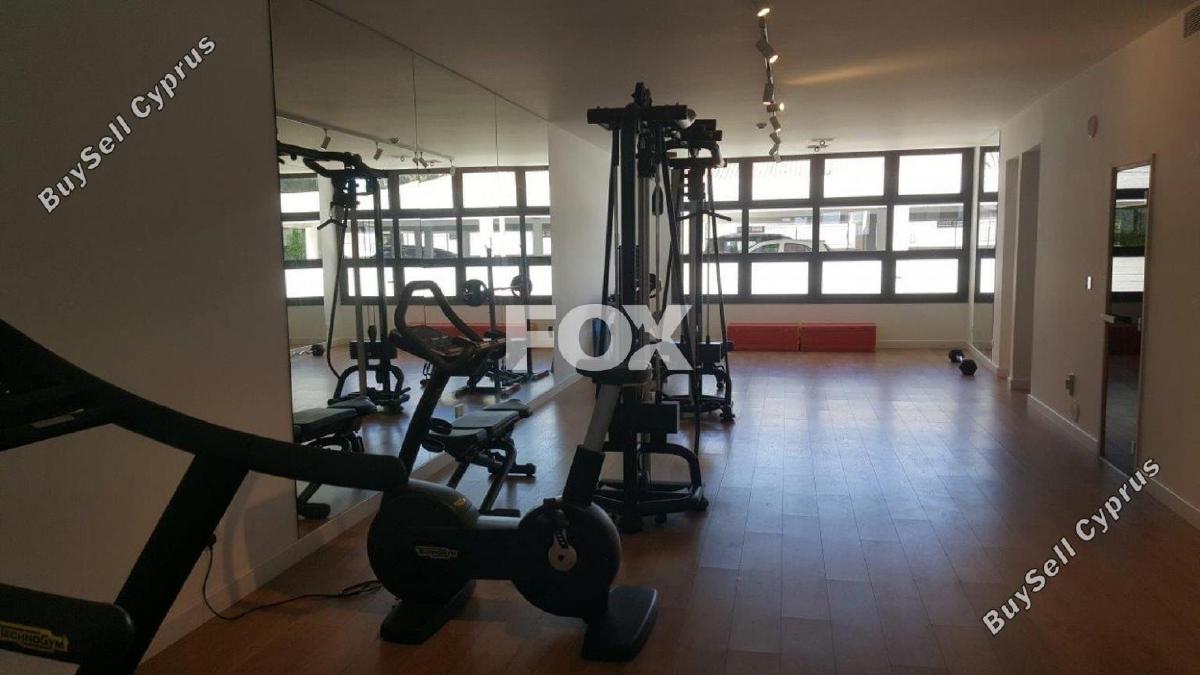 1 bedroom apartment for rent limassol municipality limassol 1644243 image 16331255