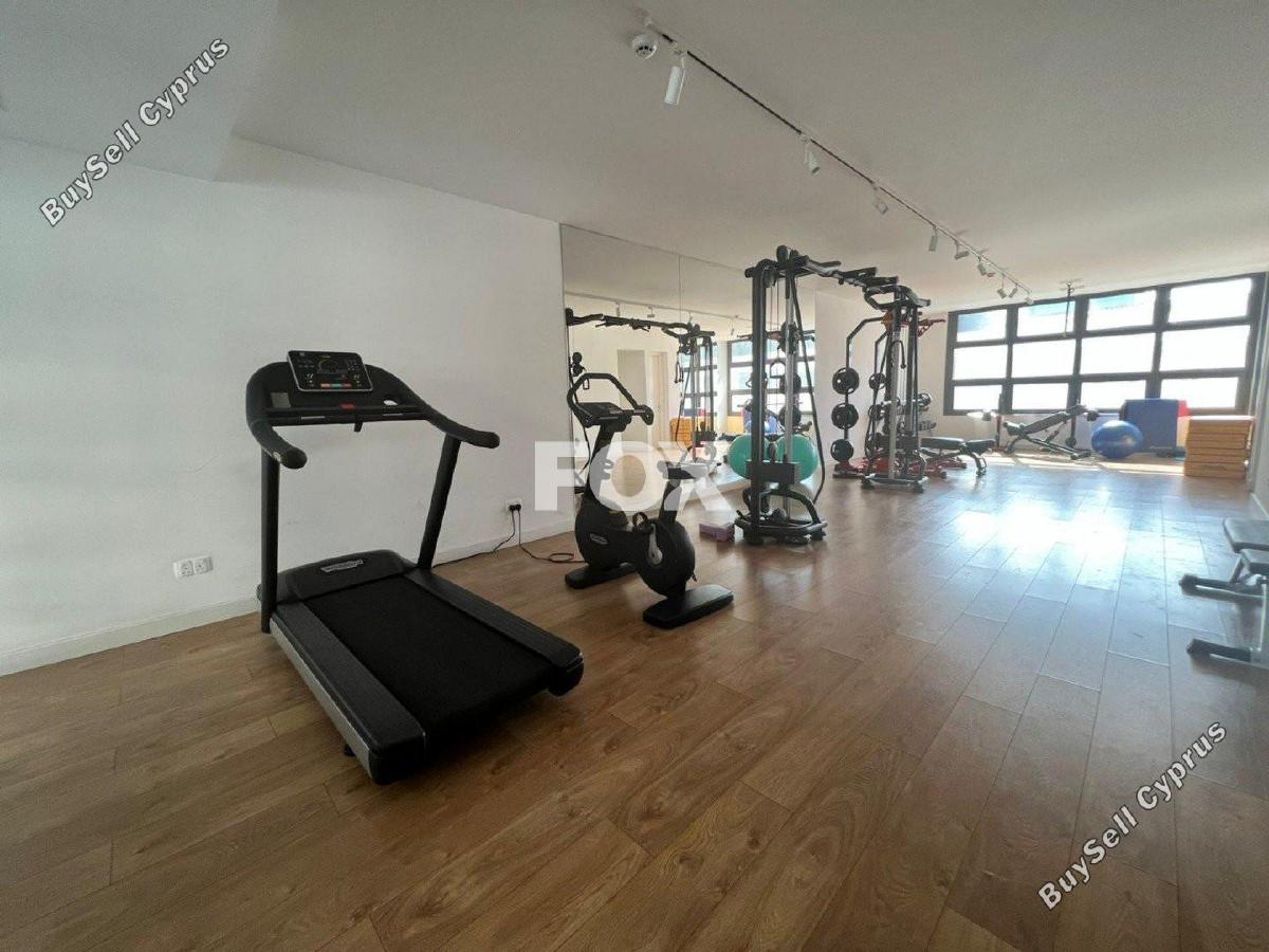 1 bedroom apartment for rent limassol municipality limassol 1644243 image 16331256