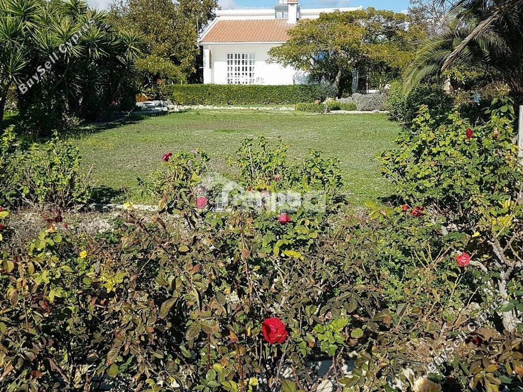 2 bedroom detached house for sale zygi larnaca 1728243 image 6146502