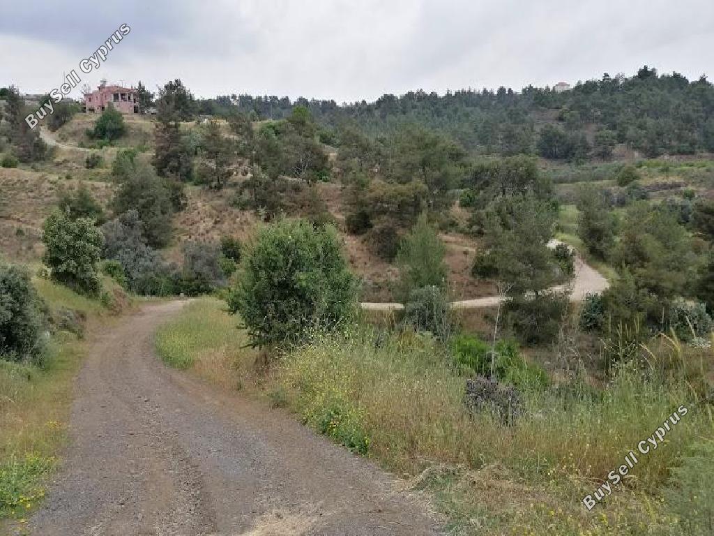 land for sale kapedes nicosia 946243 image 15601811