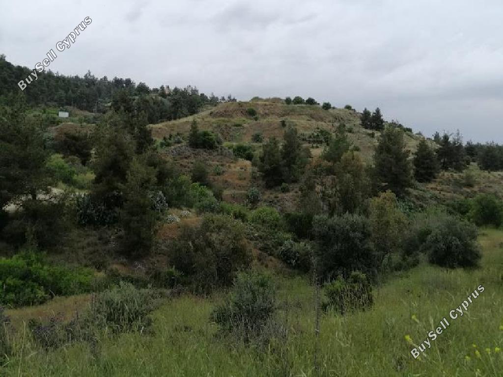 land for sale kapedes nicosia 946243 image 15601812