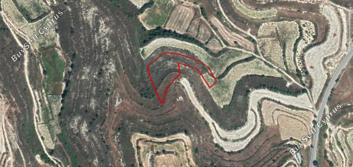 land for sale pachna limassol 8139243 image 14760798