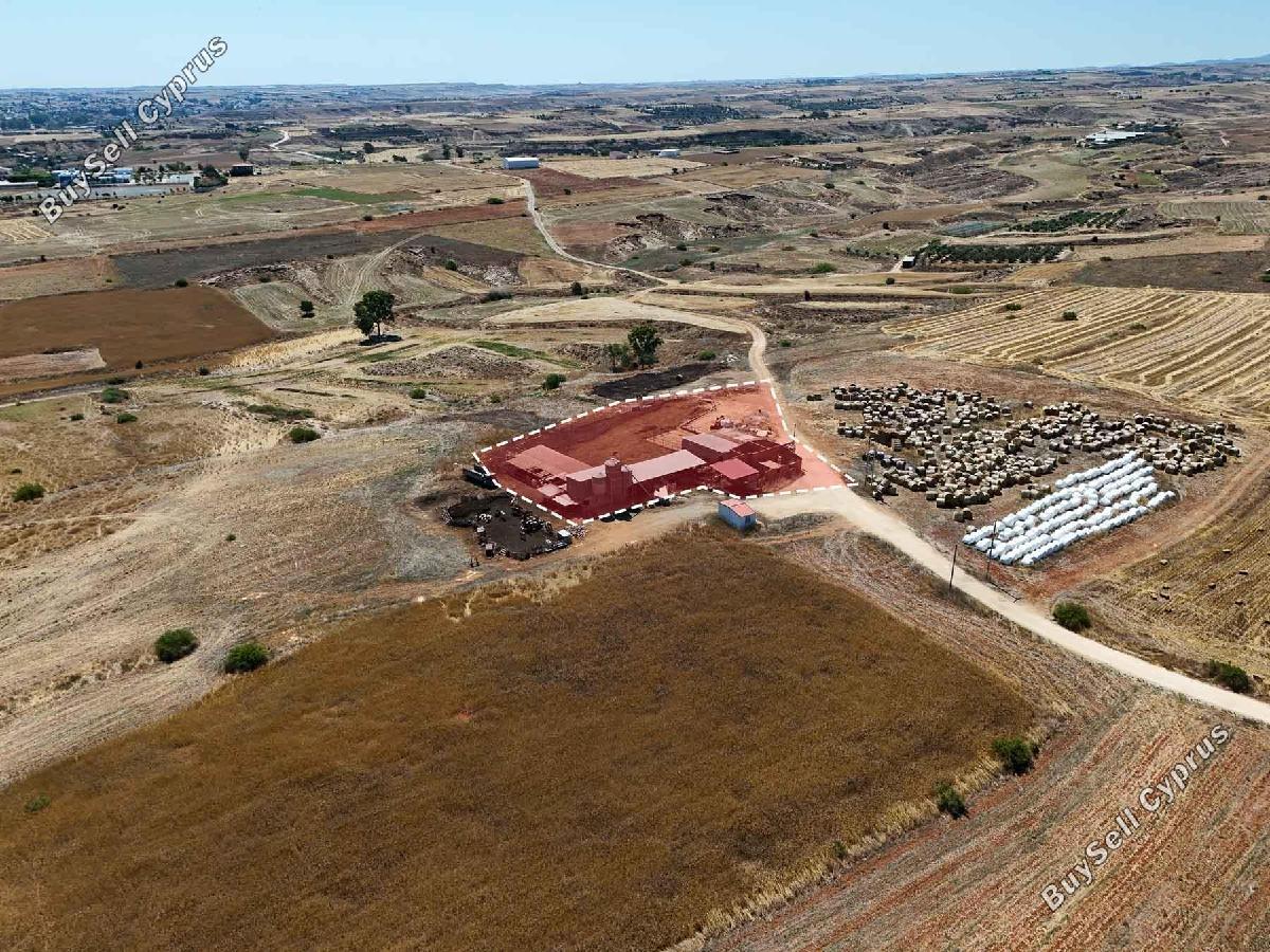 studio industrial building for sale palaiometocho nicosia 8908243 image 17400145