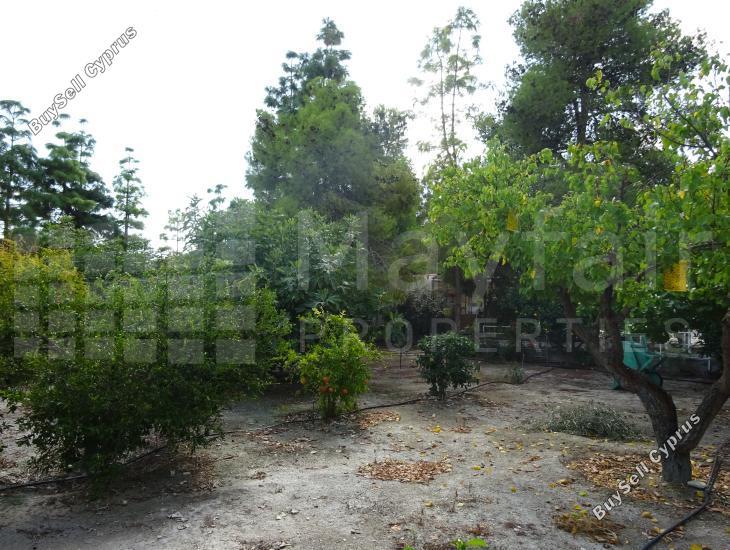 land for sale alethriko larnaca 7957343 image 11395467