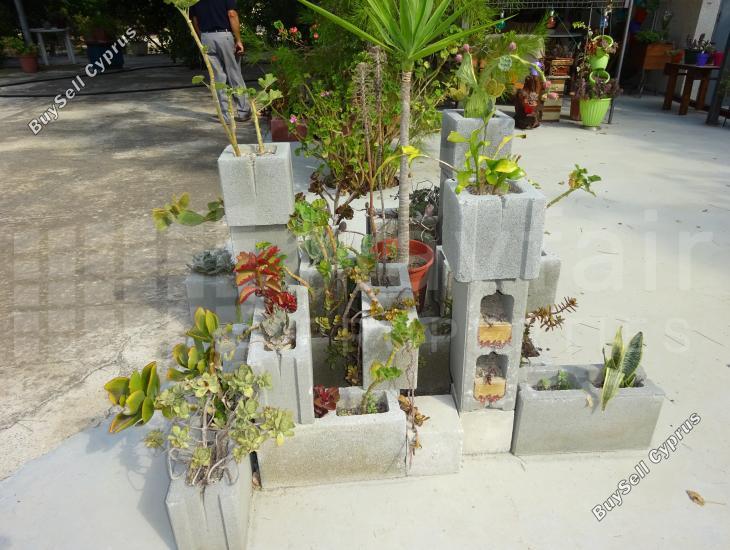 land for sale alethriko larnaca 7957343 image 11395470