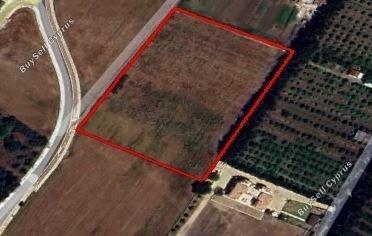 land for sale geroskipou paphos 1681343 image 4374891
