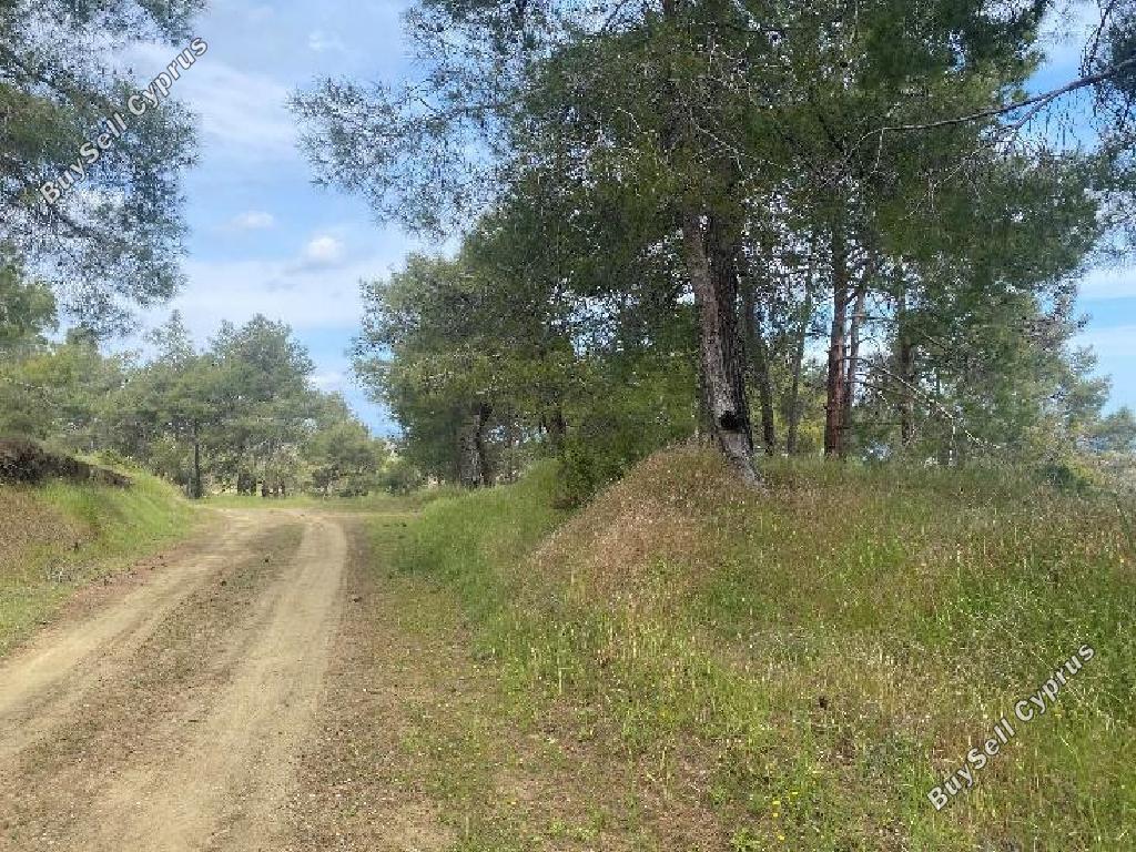 land for sale pano pyrgos nicosia 8140343 image 15596162