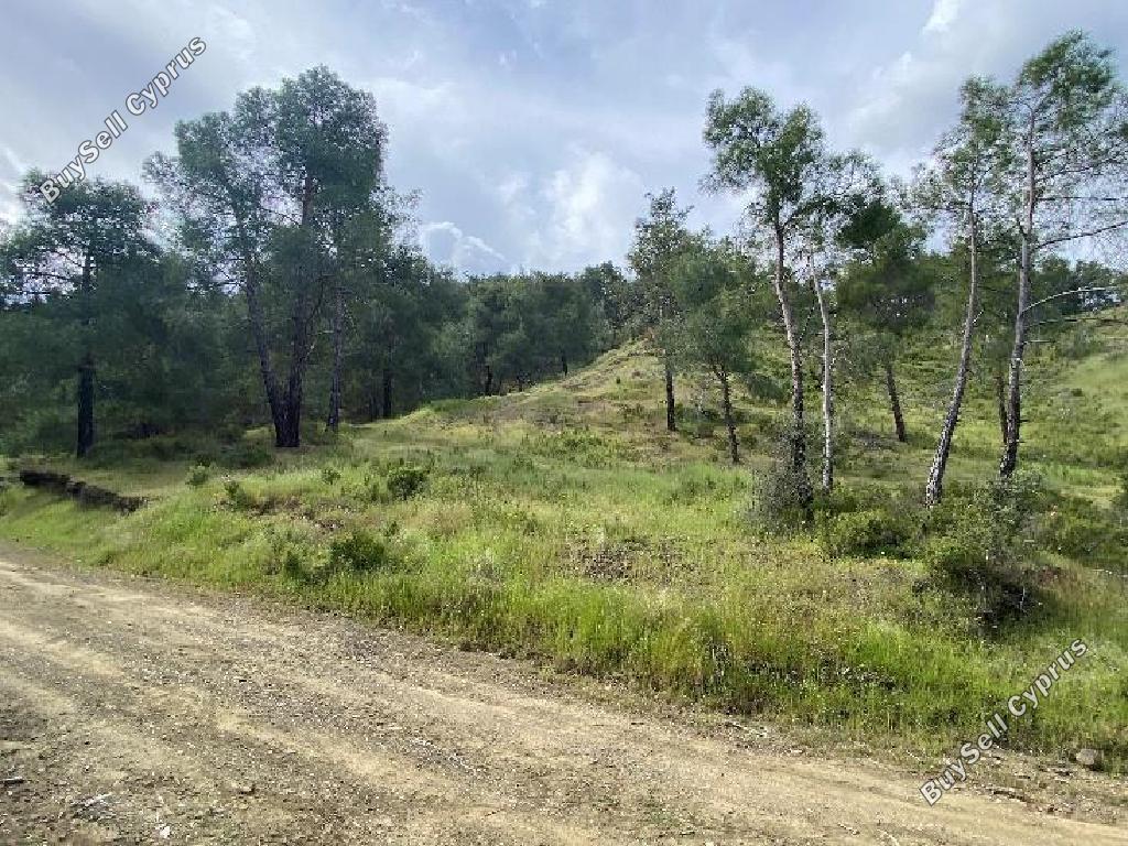 land for sale pano pyrgos nicosia 8140343 image 15596163