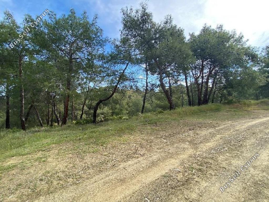 land for sale pano pyrgos nicosia 8140343 image 15596164