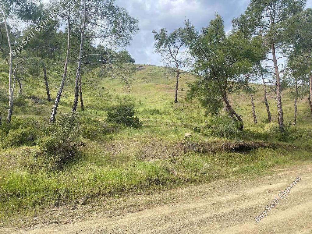 land for sale pano pyrgos nicosia 8140343 image 15596165