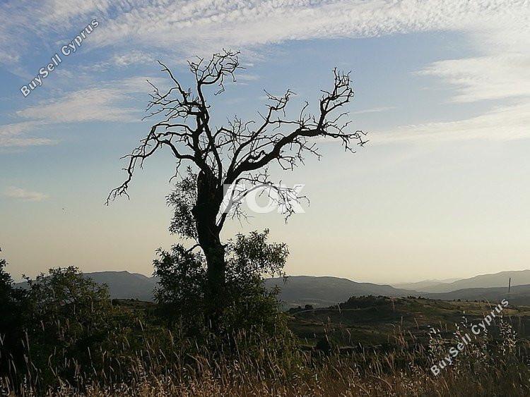 land for sale vouni limassol 1146343 image 9462739