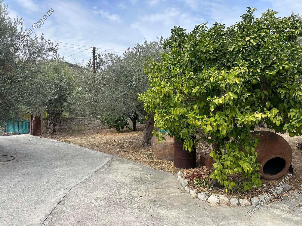 4 bedroom detached house for sale silikou limassol 8106543 image 14561746