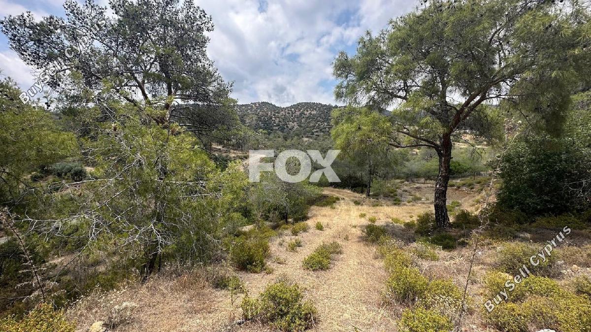 land for sale foinikaria limassol 1395543 image 5609492