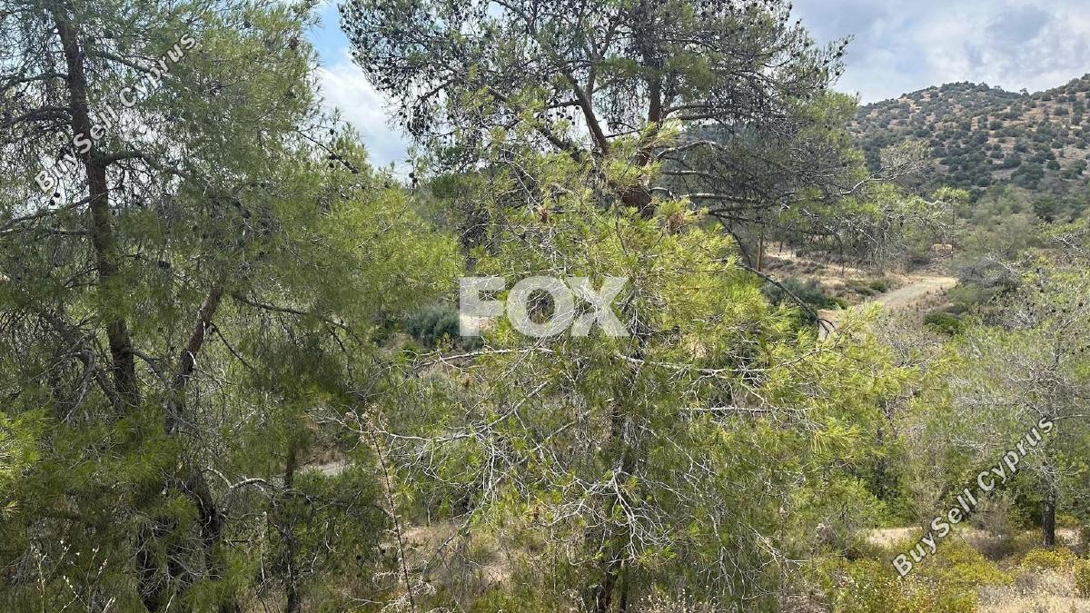 land for sale foinikaria limassol 1395543 image 5609495