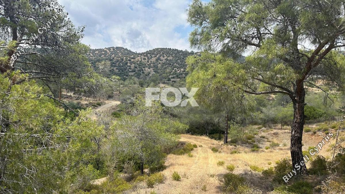 land for sale foinikaria limassol 1395543 image 5609499