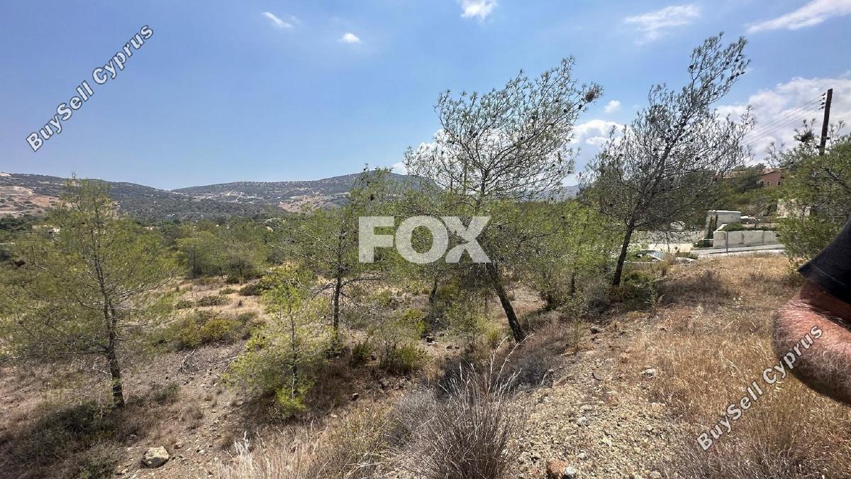 land for sale foinikaria limassol 1395543 image 5609509