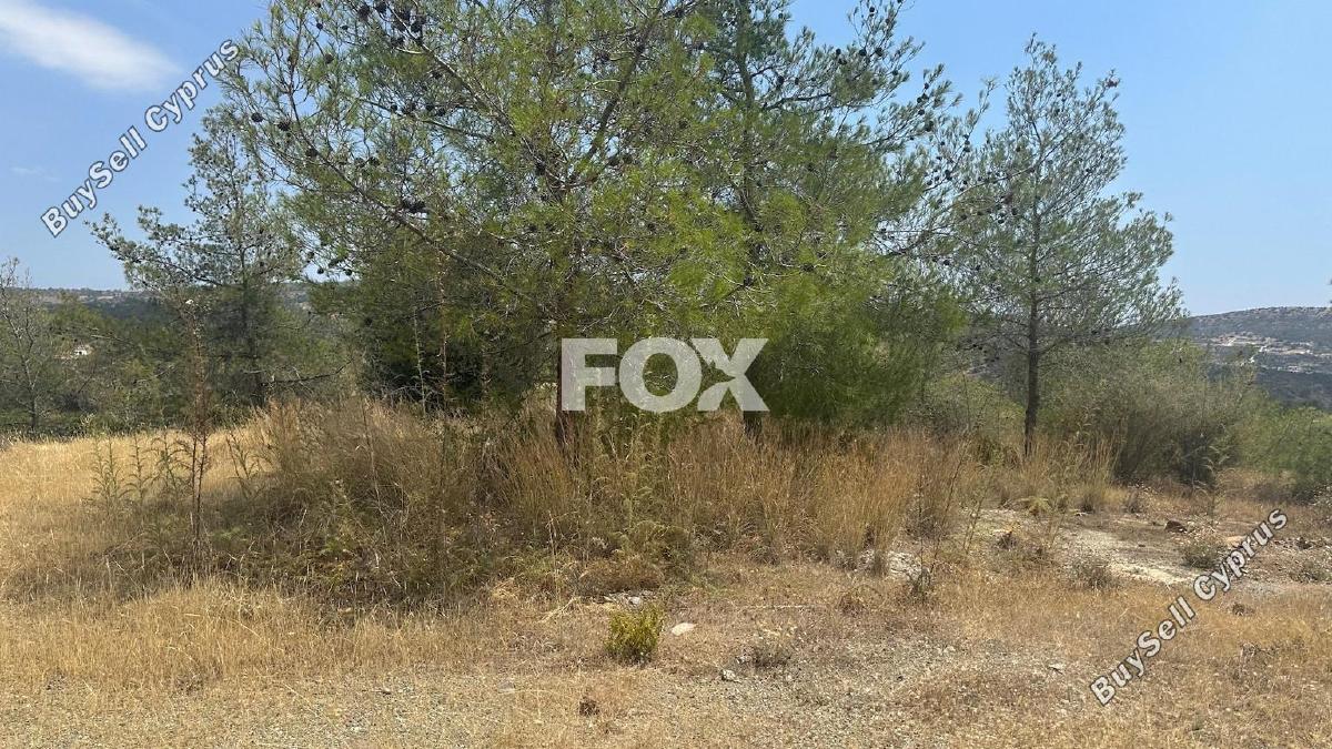 land for sale foinikaria limassol 1395543 image 5609517