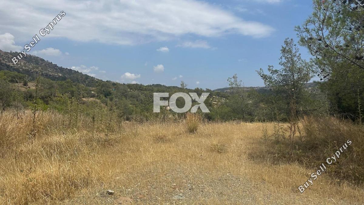 land for sale foinikaria limassol 1395543 image 5609522