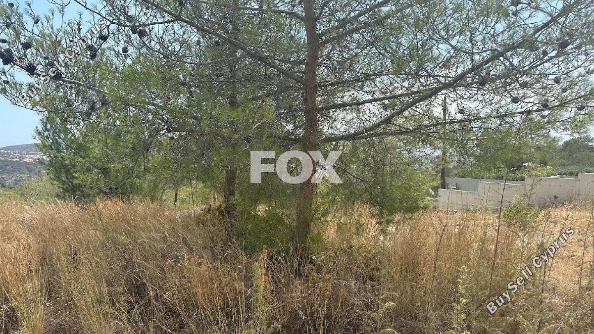 land for sale foinikaria limassol 1395543 image 5609526