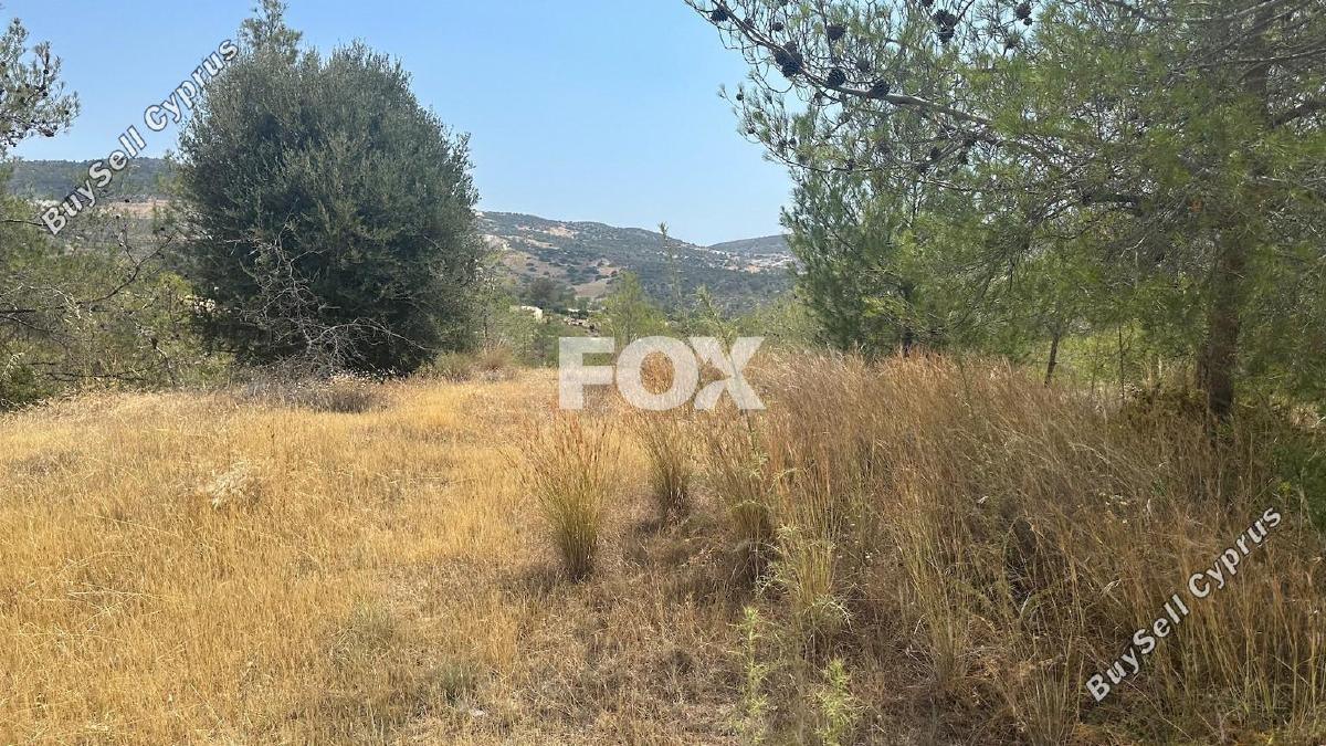 land for sale foinikaria limassol 1395543 image 5609530