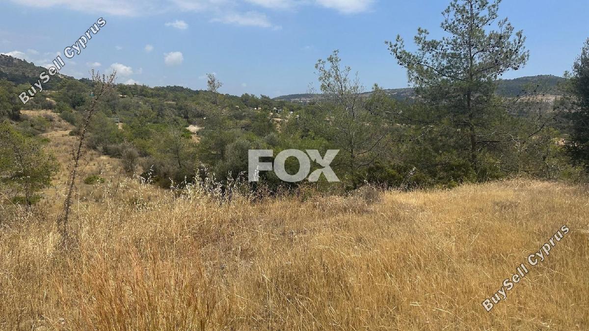 land for sale foinikaria limassol 1395543 image 5609534