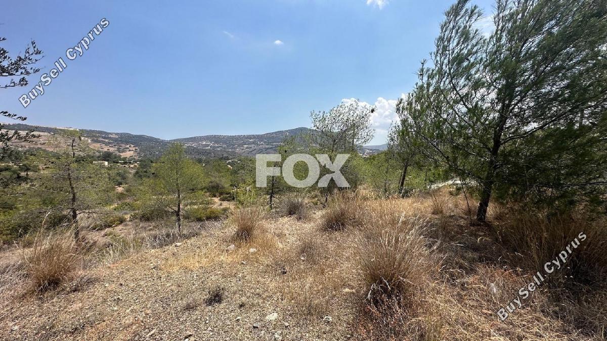 land for sale foinikaria limassol 1395543 image 5609538