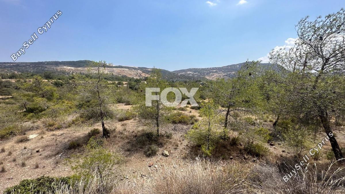land for sale foinikaria limassol 1395543 image 5609544