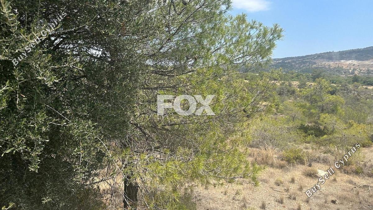 land for sale foinikaria limassol 1395543 image 5609548