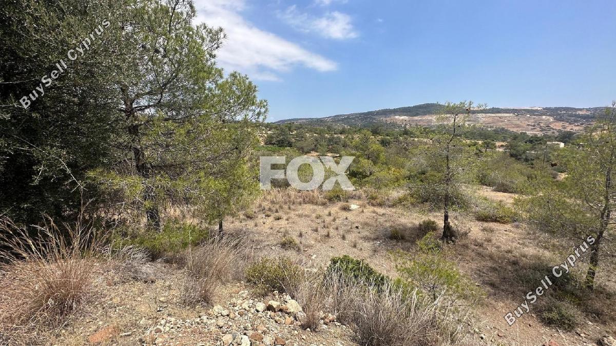 land for sale foinikaria limassol 1395543 image 5609552