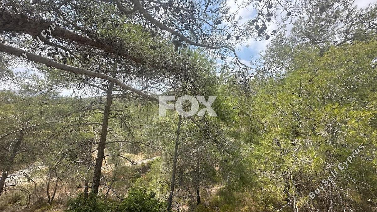 land for sale foinikaria limassol 1395543 image 5609556