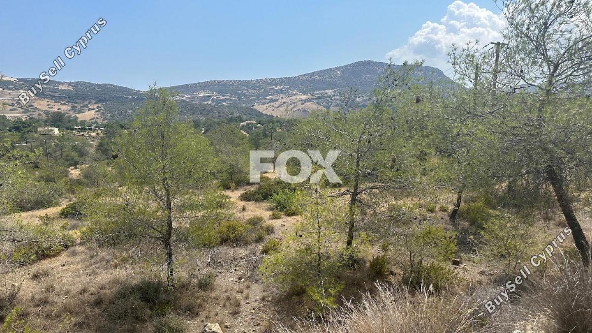 land for sale foinikaria limassol 1395543 image 5609561