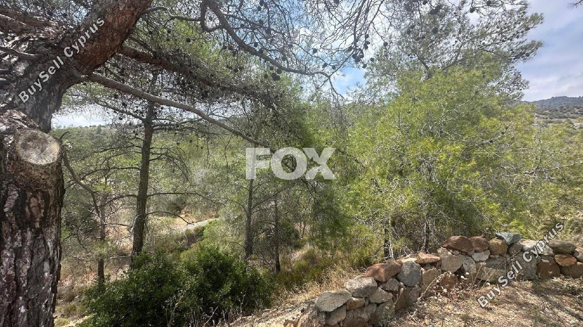 land for sale foinikaria limassol 1395543 image 5609565