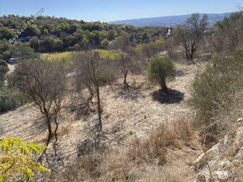 land for sale lasa paphos 1464543 image 17343430
