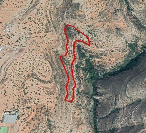 land for sale pachna limassol 1548543 image 5892950