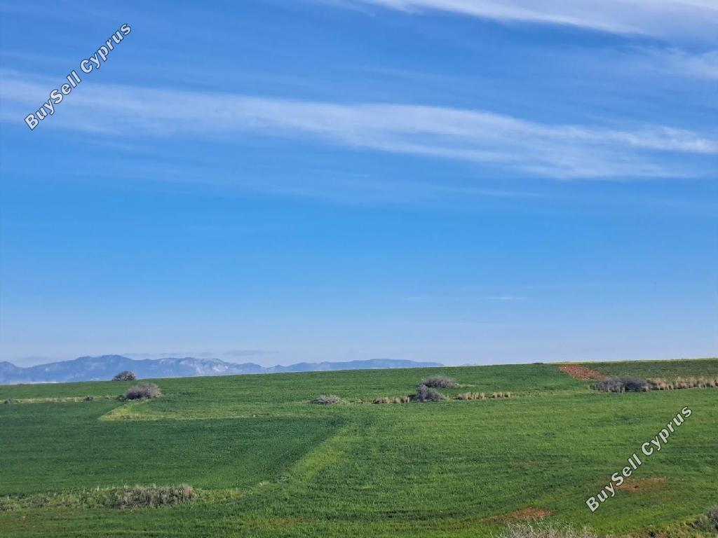 land for sale peristerona lefkosias nicosia 8244543 image 13833691