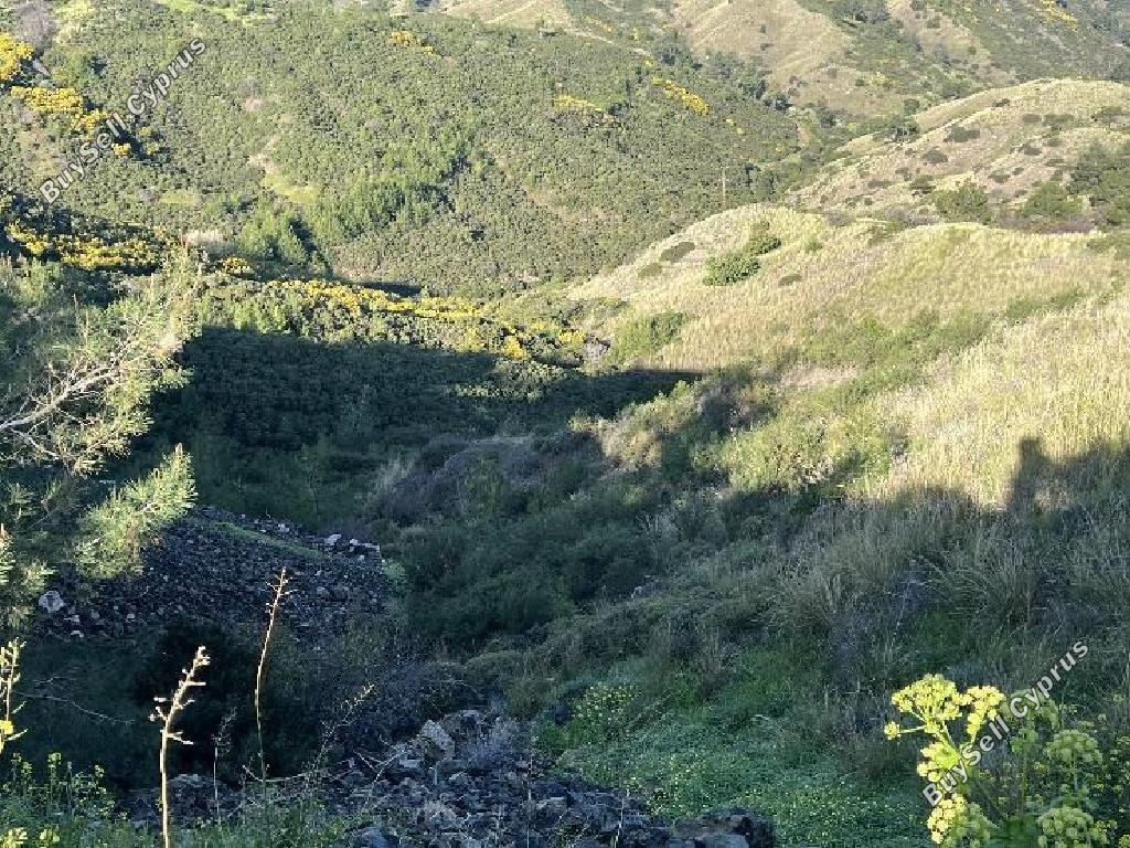land for sale pigenia nicosia 1744543 image 4766276