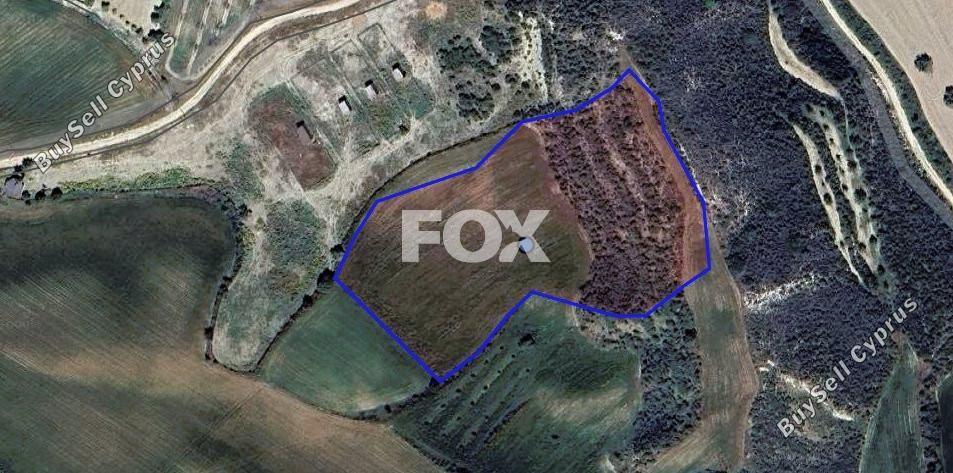land for sale steni paphos 1516543 image 5632657