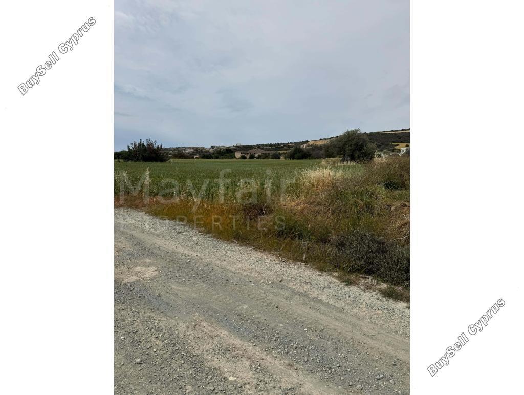land for sale tochni larnaca 8463543 image 15137664