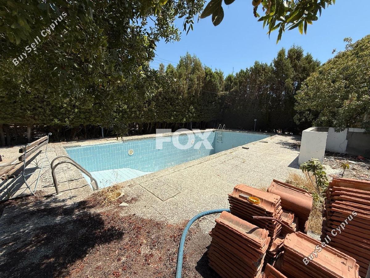 studio commercial building for rent agios nektarios limassol 8140543 image 13398953