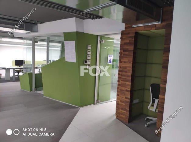 studio office for rent katholiki limassol 1493543 image 14106188