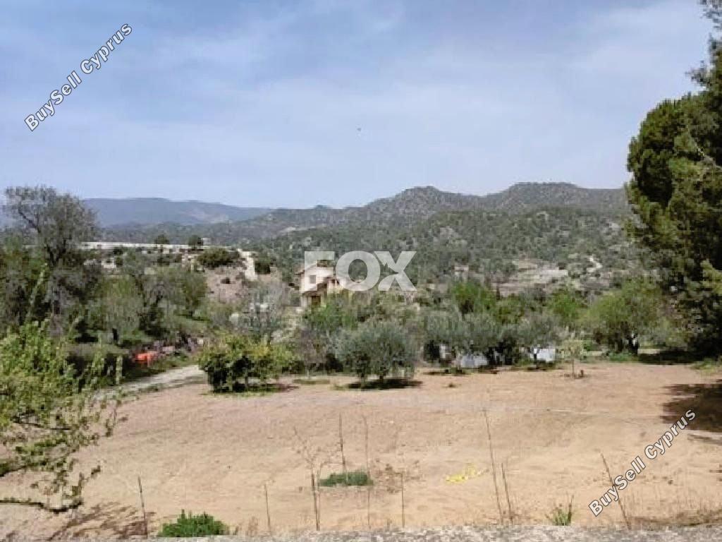 land for sale agios mamas limassol 1263743 image 14456182