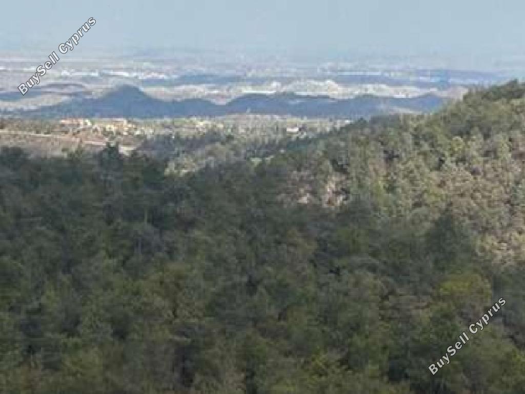 land for sale filani nicosia 945743 image 17343432