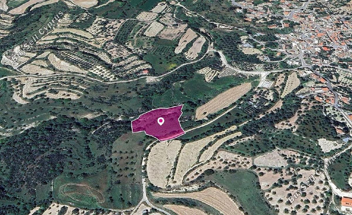 land for sale kallepeia paphos 1897743 image 14208040