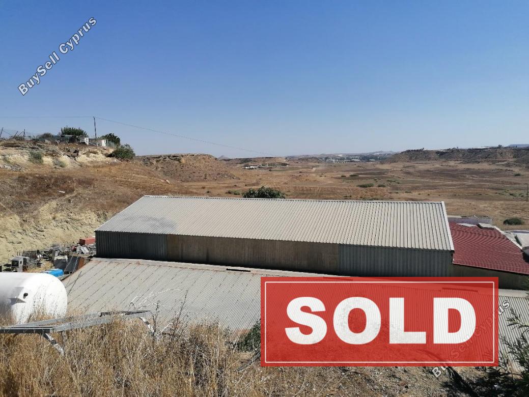 land sold dali nicosia 873743 image 746739
