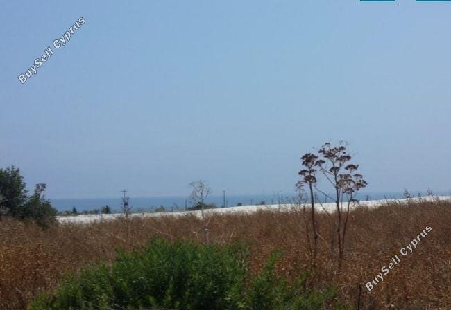 land for sale agios theodoros larnacas larnaca 7737843 image 10195397