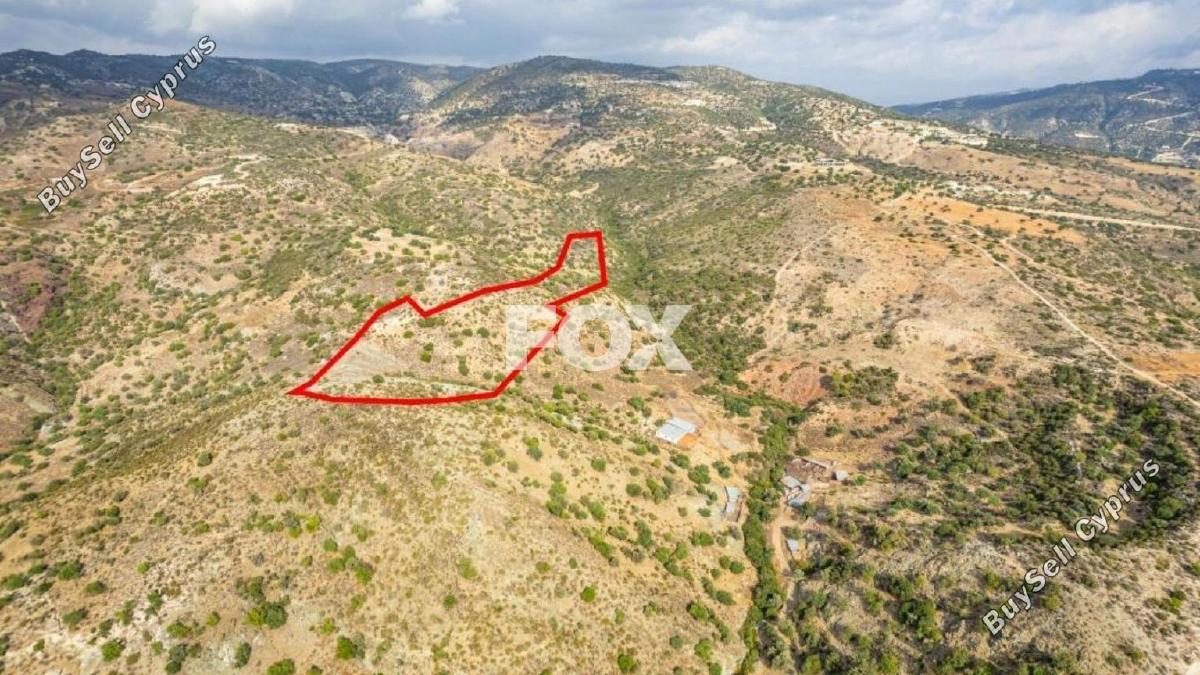 land for sale peyia paphos 1160843 image 5549454