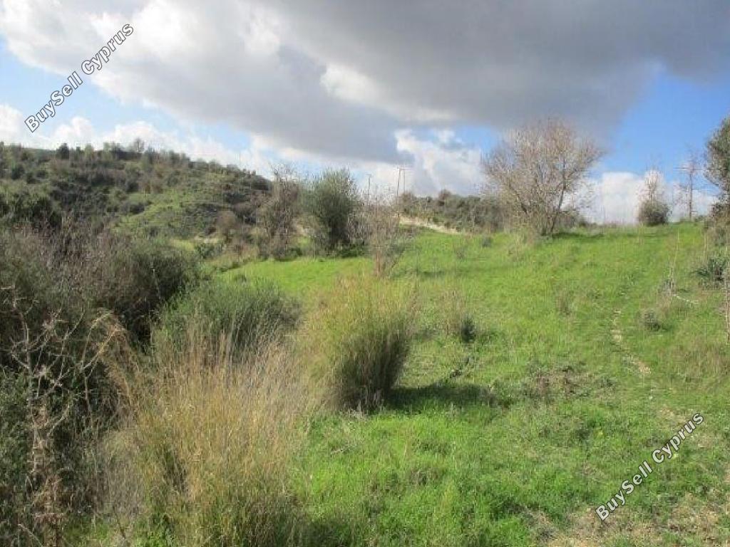 6689 SQM Land for sale in Letymvou, Paphos 15598798